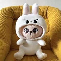 SKZOO PLUSH SKZ TOY WORLD 2024 スンミン パピーム - メルカリ