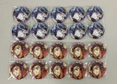 鬼滅の刃 無限城編 第一章 第4弾キービジュアル 缶バッジセット しのぶ