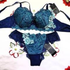 新品・タグ付き☆ワコール☆サルート☆67G・バハマ☆KO☆D75＆