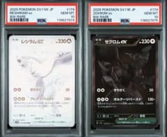 m78882871119_1.jpg?1751347241