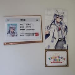 からぴちパラダイス2025 どぬ 2点 - メルカリ