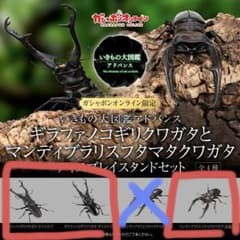 オンライン版 ギラファノコギリクワガタとマンディブラリスフタマタ 3