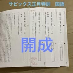 サピックス 正月特訓 国語 開成対策プリント セット KSクラス 中学受験