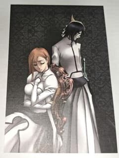 BLEACH ブリーチ 井上織姫 ウルキオラ イラストカード DVD - メルカリ