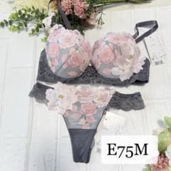 新品】wacoal サルート 03 ブラ ソングセット E75M GY - メルカリ