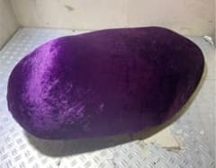 m85538000335_1.jpg?1660069548