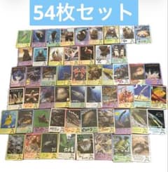 鳥羽水族館 70周年記念 コレクションカード とばすいコレカ 54枚セット