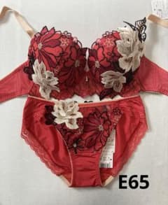 新品 ワコール サルート 96G プラダを着た悪魔 E65 ノーマルM - メルカリ