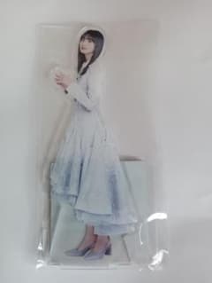 乃木坂46 遠藤さくら 個別BIGアクリルスタンド - メルカリ