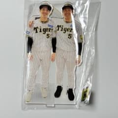 m96699071669_1.jpg?1747478038