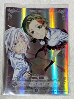D.gray-man トレーディングカード アレン＆リナリー KMR - メルカリ