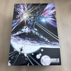 ヒ*3様 完全新品未開封 METAL BUILD デスティニーガンダムフルパッケ