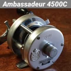 m98543196663_1.jpg?1723272566