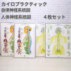 m98304185722_1.jpg?1723445873