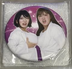 平成フラミンゴ 助け展 缶ミラーバッジ にこりほ 1点 - メルカリ