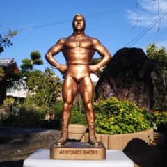 m90276144212_1.jpg?1664974648