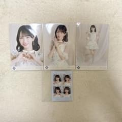 m91125420438_1.jpg?1757522400