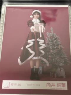 櫻坂46 生写真 向井純葉 2025年サンタ衣装 ヒキ - メルカリ