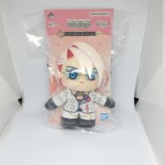 FGO 一番くじ D賞 カルナ ぬいジェニック アーキタイプインセプション