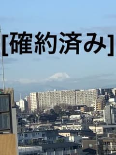 Smart DAM L バッテリーパック TM-PB20(FA) カラオケDAM - メルカリ