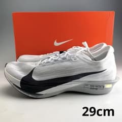 29cm ナイキ ストリークフライ2 