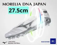 2026年最新】モレリアネオ4 27.5の人気アイテム - メルカリ