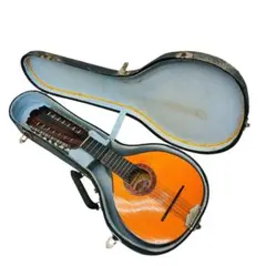 2026年最新】バンドゥリアの人気アイテム - メルカリ