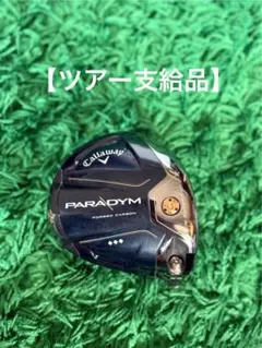 2026年最新】パラダイムTCの人気アイテム - メルカリ