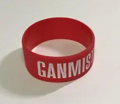 2026年最新】GANMIの人気アイテム - メルカリ