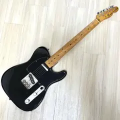 2026年最新】テレキャスター フジゲンの人気アイテム - メルカリ