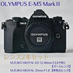 2026年最新】om-d e-m5 mark iiの人気アイテム - メルカリ