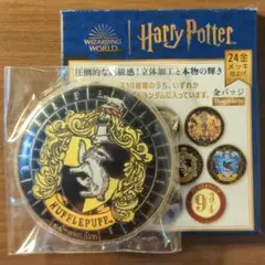 2026年最新】flAPPER ハリーポッター 缶バッジの人気アイテム - メルカリ