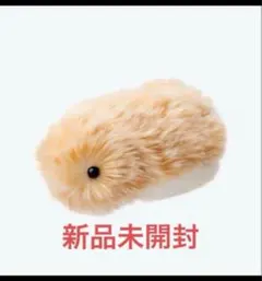 2026年最新】CASIO ぬいぐるみ本体の人気アイテム - メルカリ