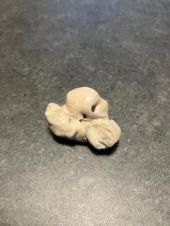 2026年最新】イルカの耳骨の化石の人気アイテム - メルカリ