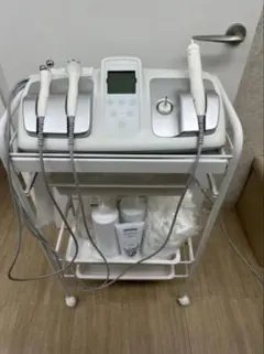 2026年最新】ミシレルトIIの人気アイテム - メルカリ