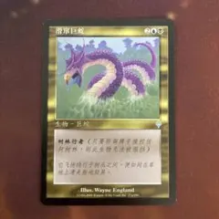 2026年最新】中国語 mtgの人気アイテム - メルカリ