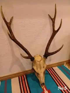 2026年最新】鹿 角 スカルの人気アイテム - メルカリ