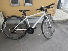 2026年最新】CYLVA F24の人気アイテム - メルカリ