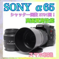 2026年最新】sony α65の人気アイテム - メルカリ