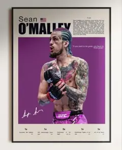 2026年最新】UFC ポスターの人気アイテム - メルカリ