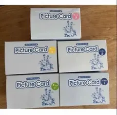 2026年最新】ペッピーキッズクラブ ピクチャーカードの人気アイテム