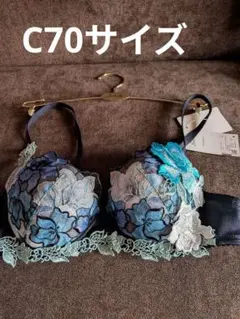 2026年最新】サルート ブラジャー c70の人気アイテム - メルカリ