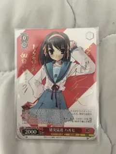 2026年最新】猪突猛進 ハルヒの人気アイテム - メルカリ