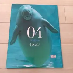 2026年最新】週刊日本の天然記念物の人気アイテム - メルカリ