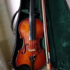 2026年最新】ヴァイオリン 弓の人気アイテム - メルカリ