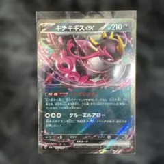 2026年最新】キチチギスexの人気アイテム - メルカリ