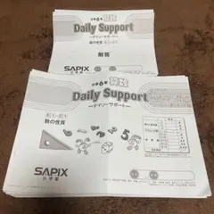 2026年最新】デイリーサピックスの人気アイテム - メルカリ
