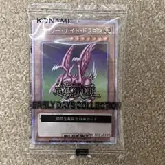 2026年最新】ホーリーナイトドラゴン 25thの人気アイテム - メルカリ