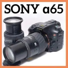 2026年最新】sony α65の人気アイテム - メルカリ