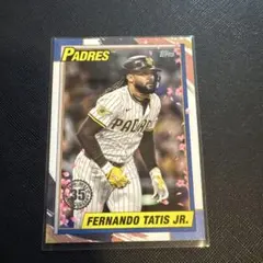 2026年最新】タティスjrの人気アイテム - メルカリ